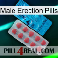 Male Erection Pills new14